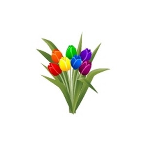 Rainbow Tulips